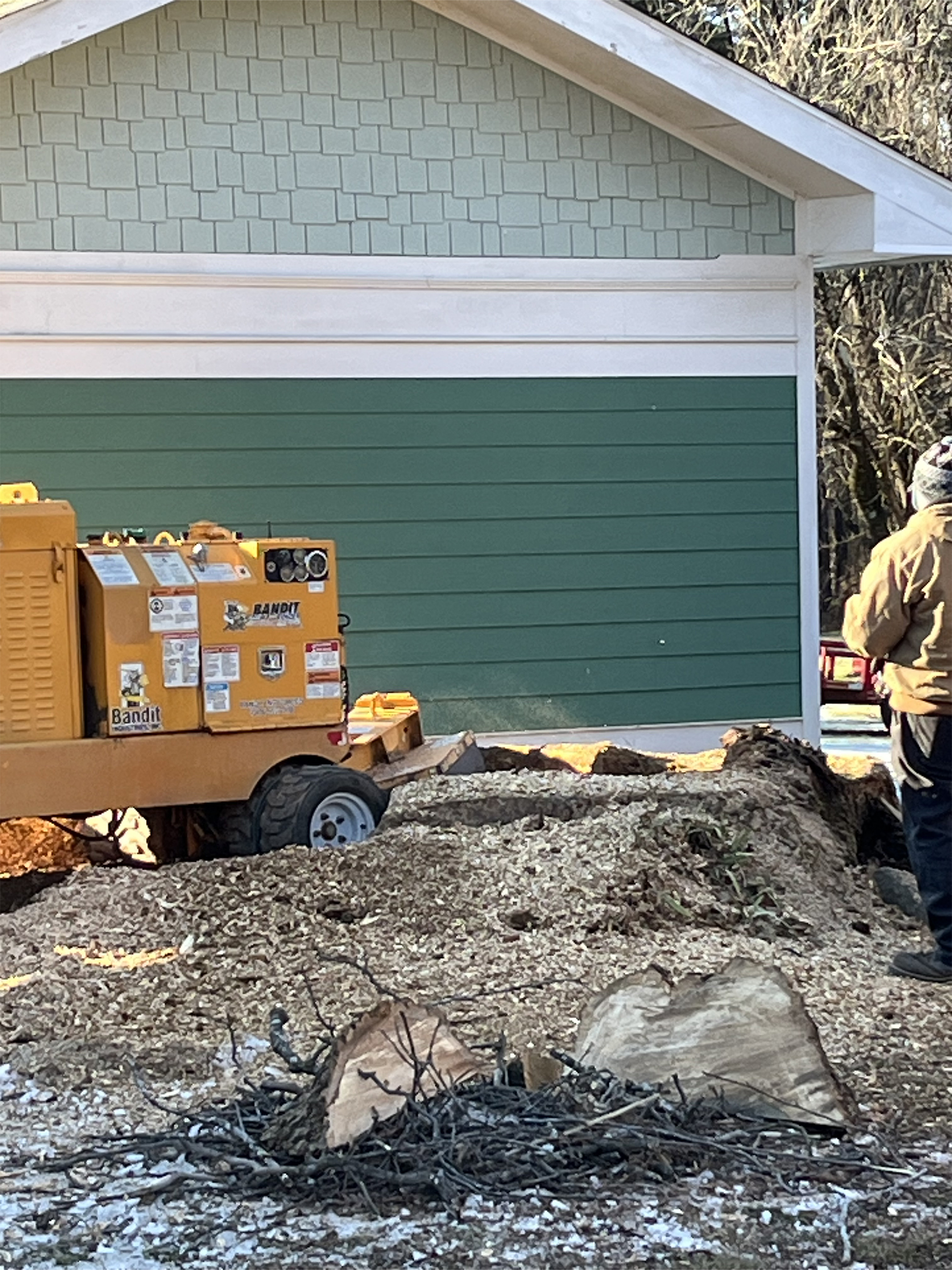 S.A. Arbor Care Tree Service Gallery | Hurdle Mills, NC